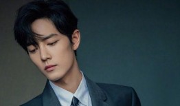 杨紫肖战内娱爆料视频,揭秘娱乐圈幕后真相