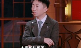 何炅汪涵爆料视频大全集,揭秘娱乐圈幕后故事大全集